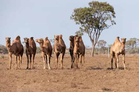 Nogo Station Experience - New Castle Holiday 3