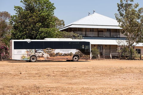 Nogo Station Experience - New Castle Holiday 1