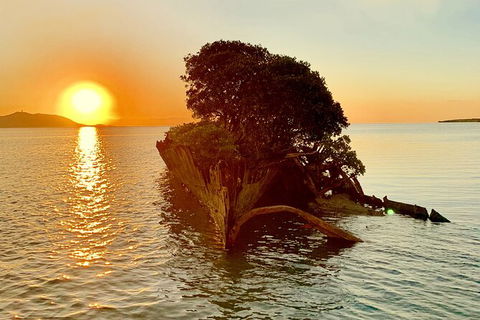 Aquascene Magnetic Island Sunset & Shipwreck Tour - New Castle Holiday 3