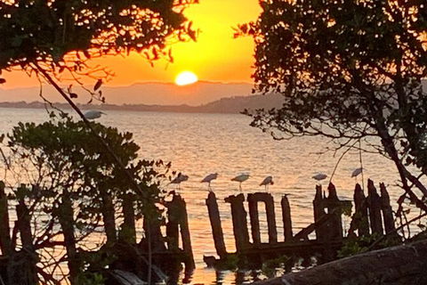 Aquascene Magnetic Island Sunset & Shipwreck Tour - New Castle Holiday 2