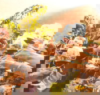 Mt Tamborine Winery Tour - Local Pickup - New Castle Holiday