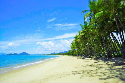 Airport Transfer - Palm Cove, Kewarra Beach & Trinity Beach To Cairns Airport - New Castle Holiday 2