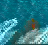 1 Hour Stunning Jet Ski Experience - New Castle Holiday