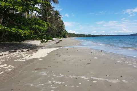 Private Transfers - Cairns Airport To Palm Cove - New Castle Holiday 1