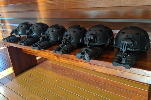 Nature By Night - New Castle Holiday 5