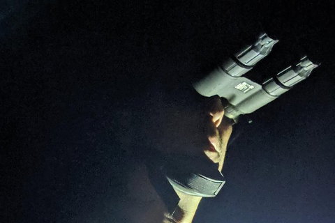 Nature By Night - New Castle Holiday 3