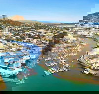 Explore Townsville 7 Hour Guided River Mountain and City Tour - New Castle Holiday