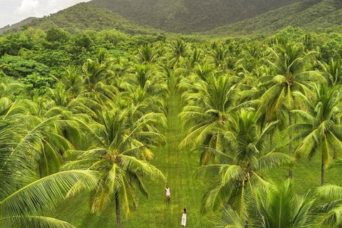 SHUTTLE - Thala Beach And Turtle Cove From Port Douglas (Return Transfer) - New Castle Holiday 1