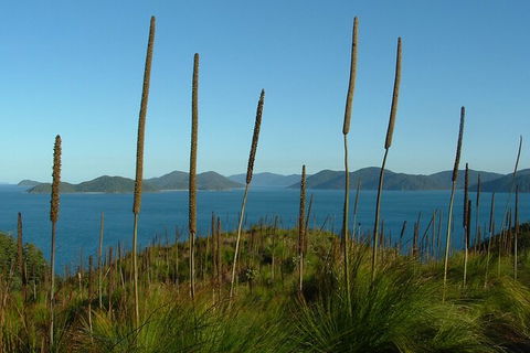 7-Day Private Sea Kayaking In Whitsundays - New Castle Holiday 8
