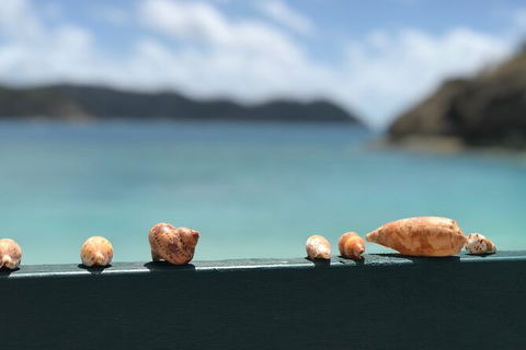 7-Day Private Sea Kayaking In Whitsundays - New Castle Holiday 1