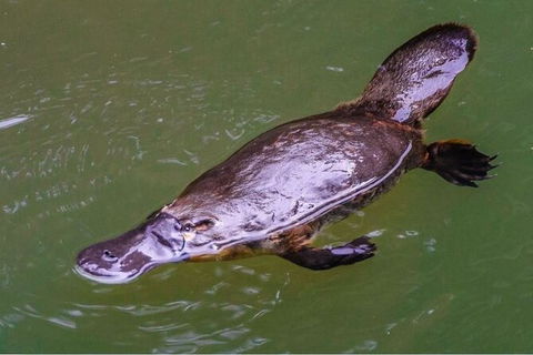 8-Day Outback Experience From Queensland - New Castle Holiday 15