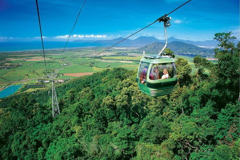 Day Tour To Kuranda, Rainforest And Port Douglas With Flight - New Castle Holiday 5