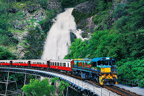 Day Tour To Kuranda, Rainforest And Port Douglas With Flight - New Castle Holiday 4