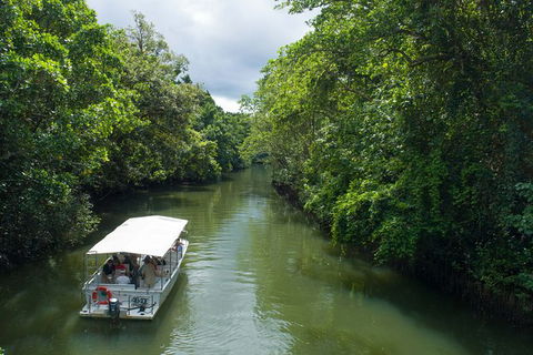 World Heritage Highlights: Reef/Daintree/Cape Tribulation - New Castle Holiday 1