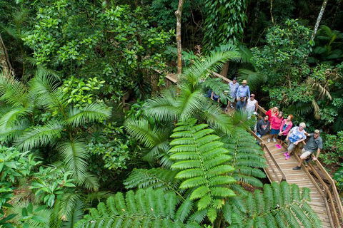 World Heritage Highlights: Reef/Daintree/Cape Tribulation - New Castle Holiday 3
