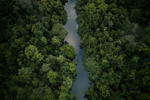 World Heritage Highlights: Reef/Daintree/Cape Tribulation - New Castle Holiday 10