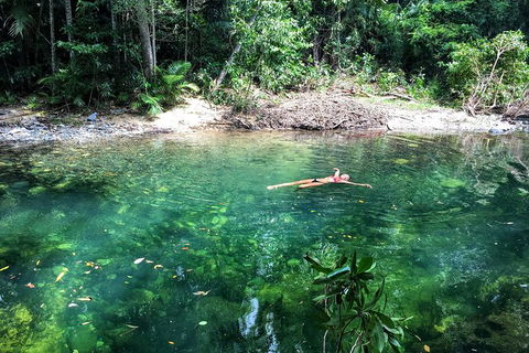 World Heritage Highlights: Reef/Daintree/Cape Tribulation - New Castle Holiday 4