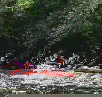 Mossman Gorge Adventure Day - New Castle Holiday