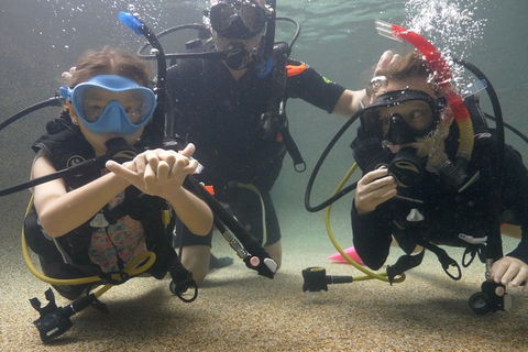 Scuba Kids- Padi Bubblemaker Course - New Castle Holiday 4
