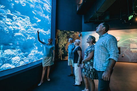 Cairns Aquarium By Twilight With 3 Course Dinner - New Castle Holiday 0