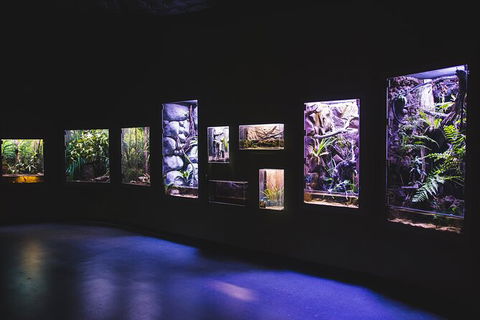 Cairns Aquarium By Twilight With 3 Course Dinner - New Castle Holiday 3