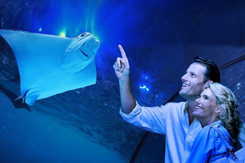 Cairns Aquarium Tour By Twilight With Drink And Appetiser - New Castle Holiday 0