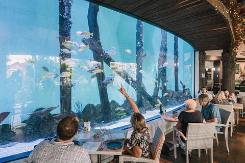 Cairns Aquarium Tour By Twilight With Drink And Appetiser - New Castle Holiday 1