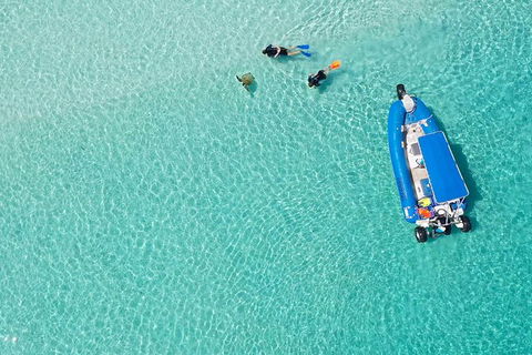 Remote Fraser Island & Whale Experience - New Castle Holiday 0