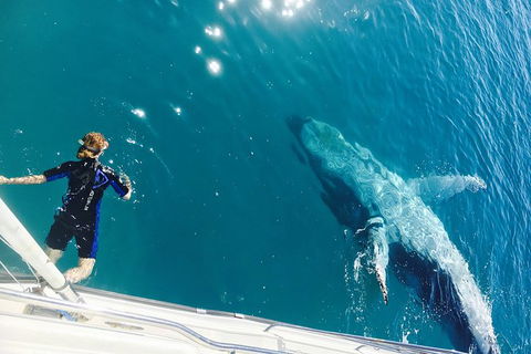 Remote Fraser Island & Whale Experience - New Castle Holiday 4