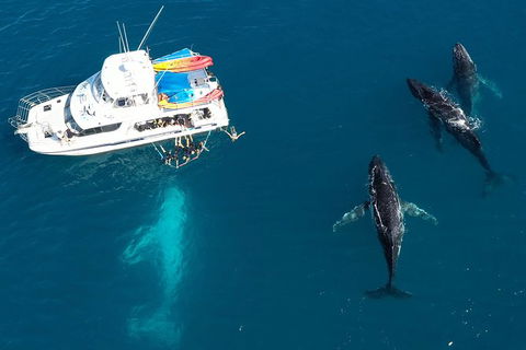Remote Fraser Island & Whale Experience - New Castle Holiday 3
