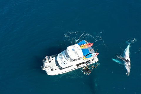 Remote Fraser Island & Whale Experience - New Castle Holiday 1