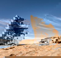 Kangaroo Island Luxury Small Group 'Flinders Chase Focus' Full Day Tour - New Castle Holiday