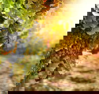 Kangaroo Island Half Day Food and Wine Trail Tour - New Castle Holiday