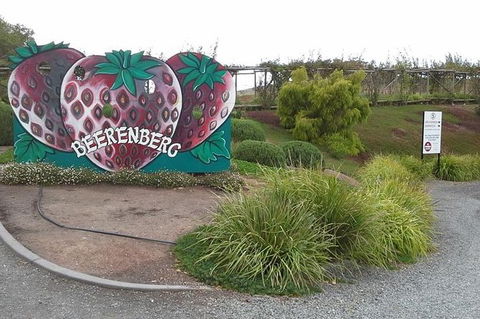 Adelaide Hills Regional / Hahndorf German Village Tour - New Castle Holiday 6