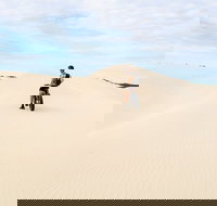 Kangaroo Island 2 Hour Bike Tour - New Castle Holiday