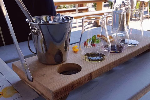 Tipple Of Gin Experience Tour - New Castle Holiday 3
