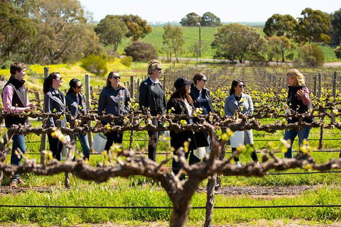 Walk, Taste, Graze - Experience At Pindarie - New Castle Holiday 2
