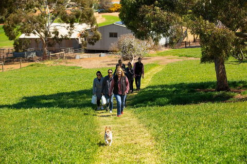 Walk, Taste, Graze - Experience At Pindarie - New Castle Holiday 7