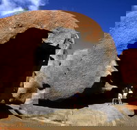 Full-Day Kangaroo Island Safari from Penneshaw - New Castle Holiday