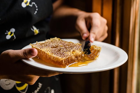 Full-Day Kangaroo Island Safari From Penneshaw - New Castle Holiday 2