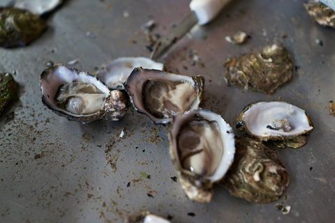 Fine Flavours - Full Day Kangaroo Island Food & Wine Tour - New Castle Holiday 10