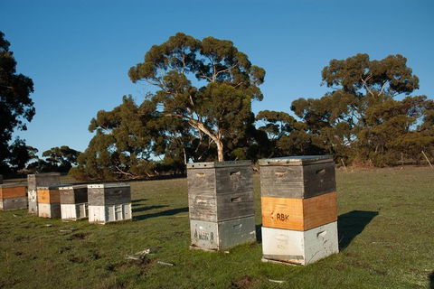 Fine Flavours - Full Day Kangaroo Island Food & Wine Tour - New Castle Holiday 5