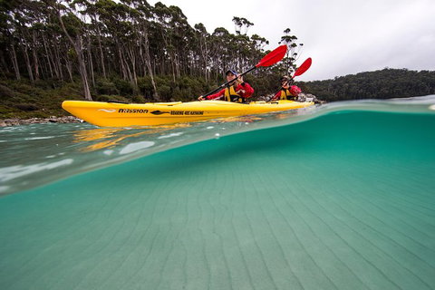 Tasman Peninsula Full Day Kayaking Tour - New Castle Holiday 5