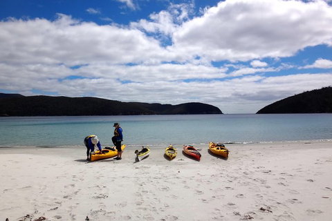 Tasman Peninsula Full Day Kayaking Tour - New Castle Holiday 3