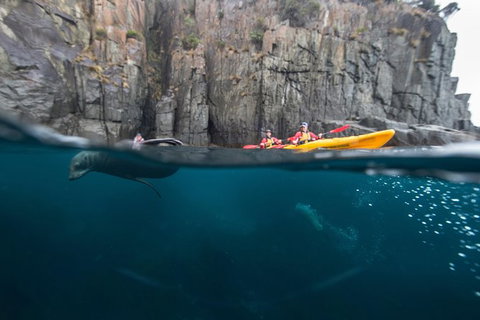 Tasman Peninsula Full Day Kayaking Tour - New Castle Holiday 0