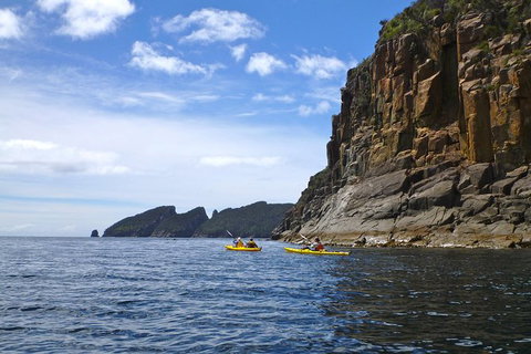 Tasman Peninsula Full Day Kayaking Tour - New Castle Holiday 4