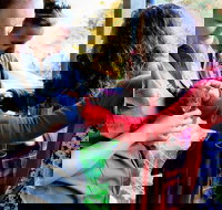 Sunset Experience - New Castle Holiday