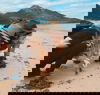 Freycinet Walking Tour - New Castle Holiday