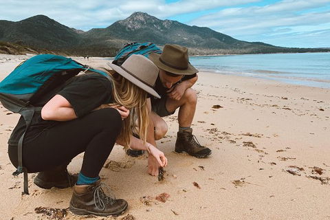 Freycinet Walking Tour - New Castle Holiday 0