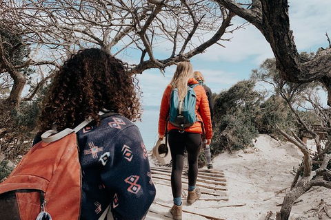 Freycinet Walking Tour - New Castle Holiday 6